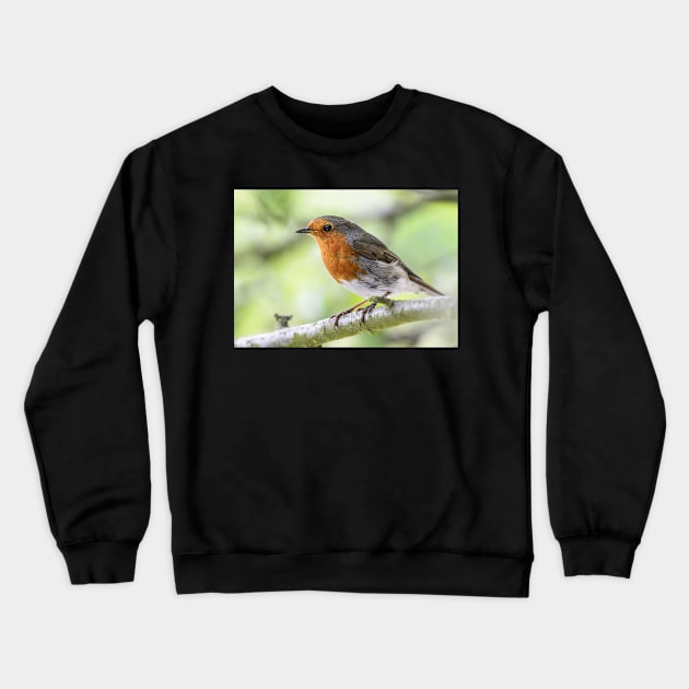 Japanese Robin Komadori Crewneck Sweatshirt by kawaii_shop